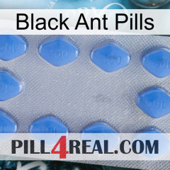 Black Ant Pills 21